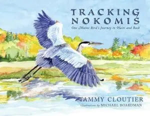 Tracking Nokomis